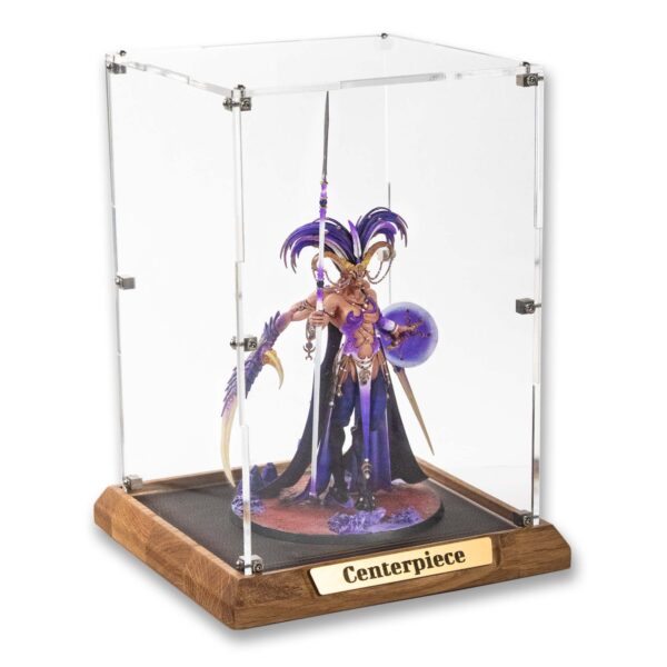 Alternative view of Centerpiece Display Case