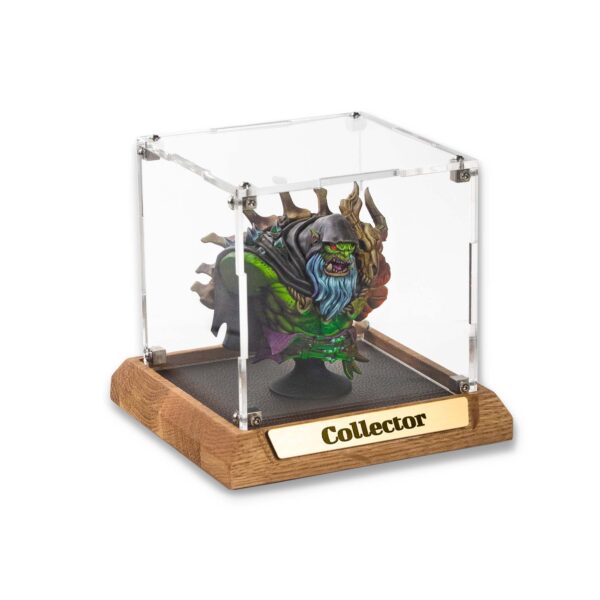 Collector Display Case